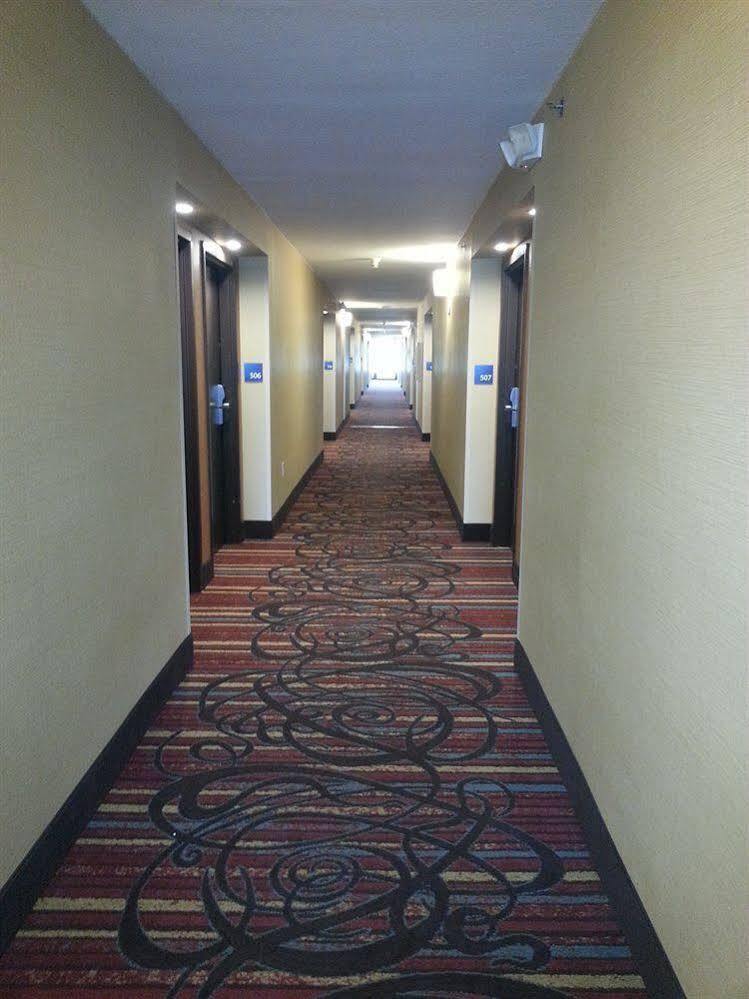 Holiday Inn Express Fredericksburg - Southpoint By Ihg Exterior foto